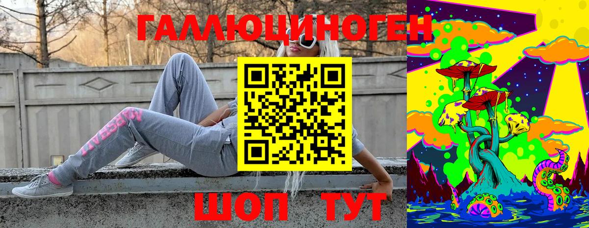 Кызыл  Галлюциногенные грибы Cubensis  Вход с VPN 